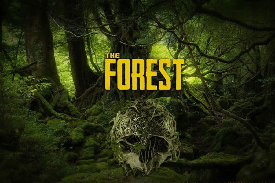 The Official Picture of The Forest, One of The best single player survival games.