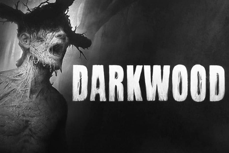 The Official Picture of  Darkwood, One of horror games with sad endings.