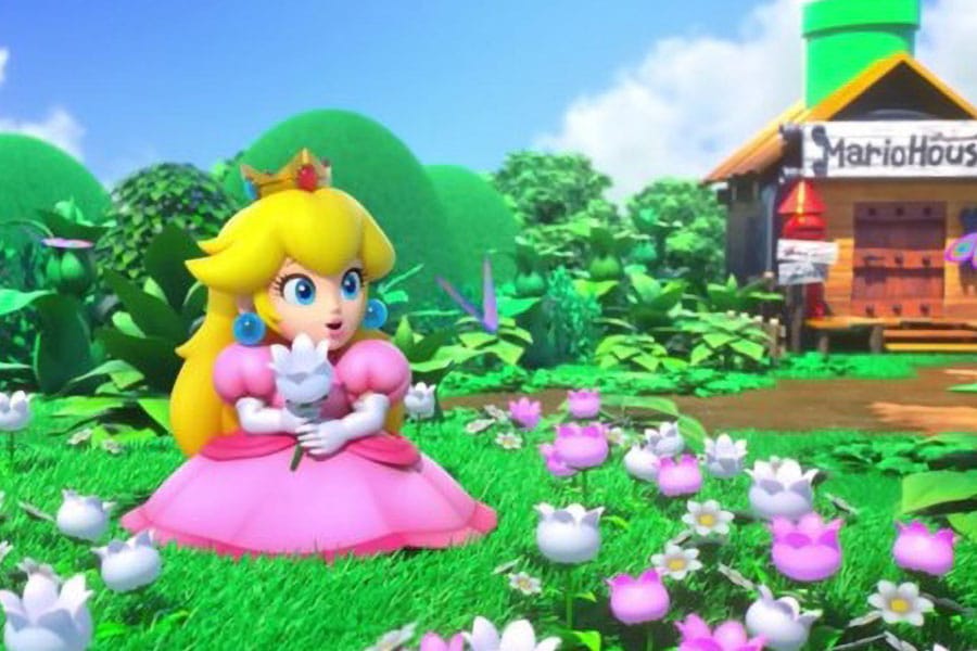 in game picture of Princess Peach from Various Mario Titles, one of the most hated video games characters.