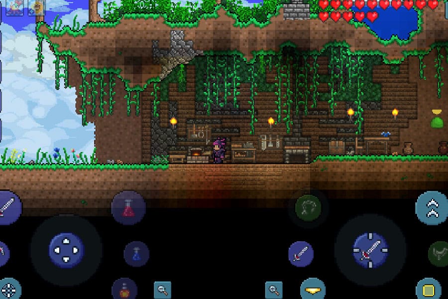 In game picture of Terraria, a Sandbox game, One of most popular genres of video games.