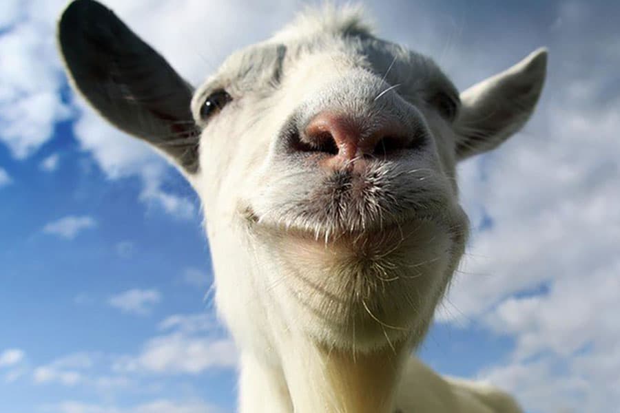 The Official Picture of Goat Simulator, One of offline open world games for ios.