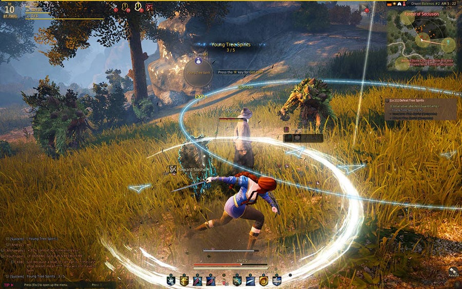 Black Desert Online gameplay screen