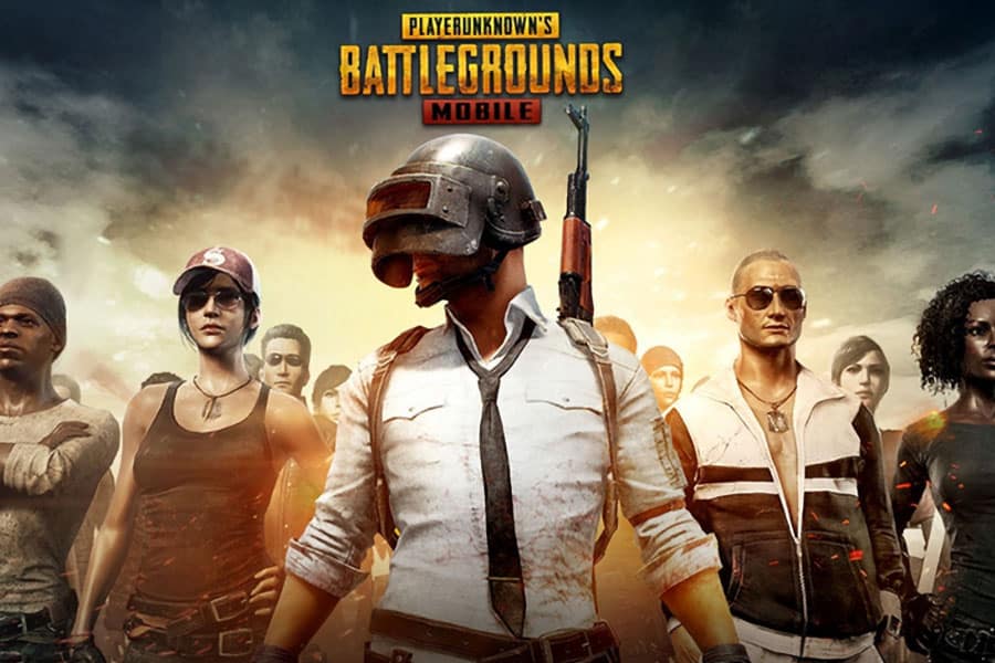 The Official Picture of PlayerUnknown’s Battlegrounds (PUBG) with its skins.