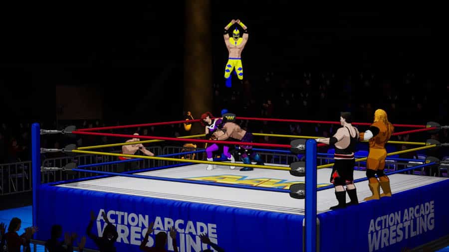 A picture of Action Arcade Wrestling, one of the best wrestling games on pc.