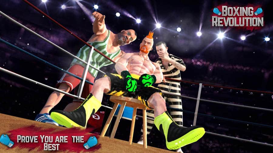 An official picture of Boxing Revolution 3D.