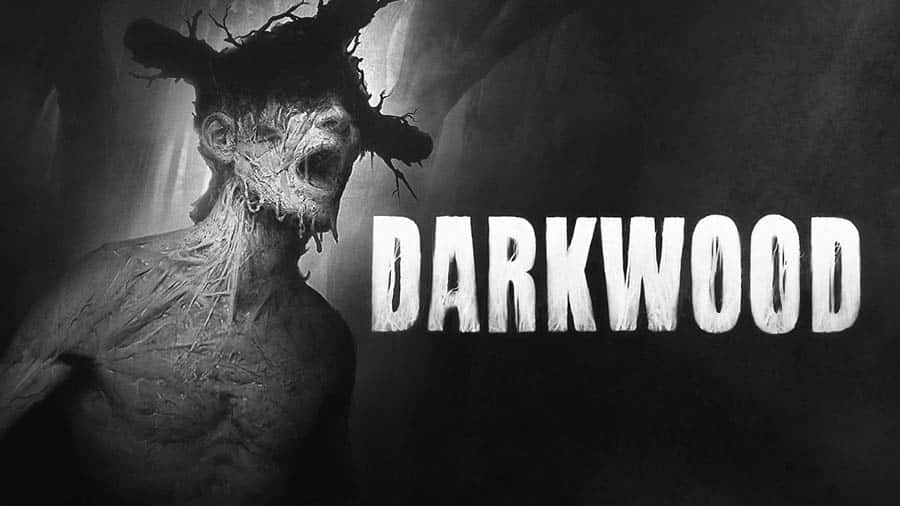 The Official Picture of Darkwood, One of best zombie games for switch.