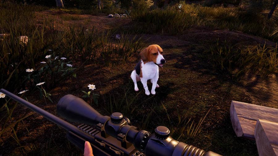 A photo of Hunting Simulator 2, one of the best hunting games for pc.