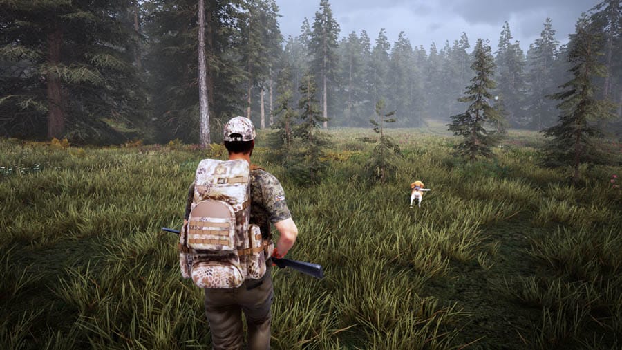 A wallpaper of Hunting Simulator, one of the best hunting games for pc.