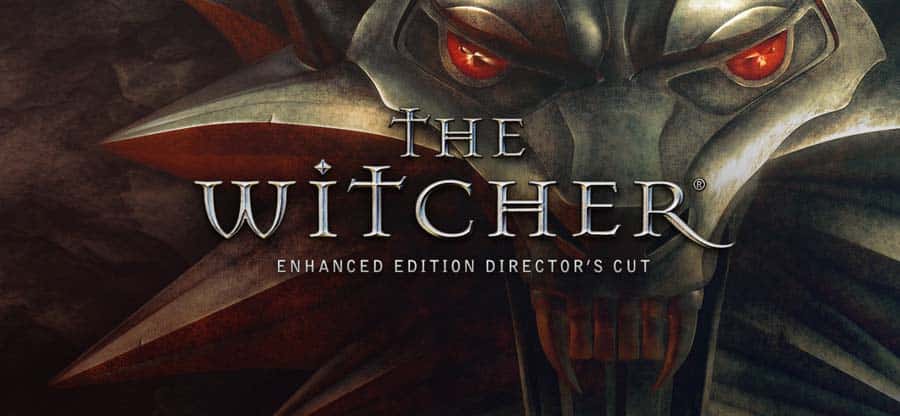 The Official Picture of The Witcher: Enhanced Edition Director's Cut.