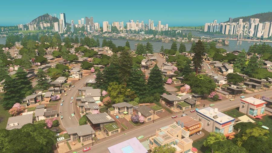 The Official Picture of Cities: Skylines.