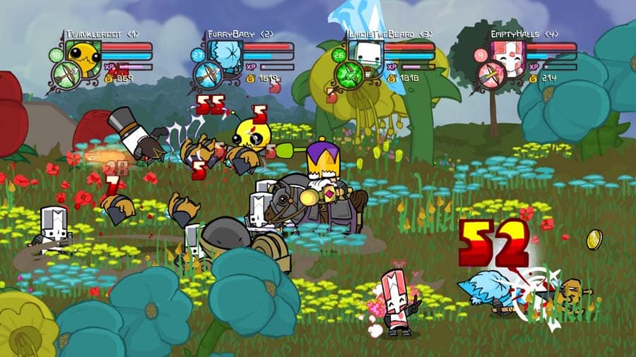 The Official Picture of Castle Crashers.