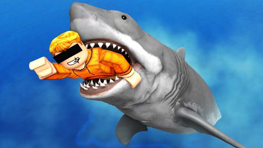 The Official Picture of SharkBite.