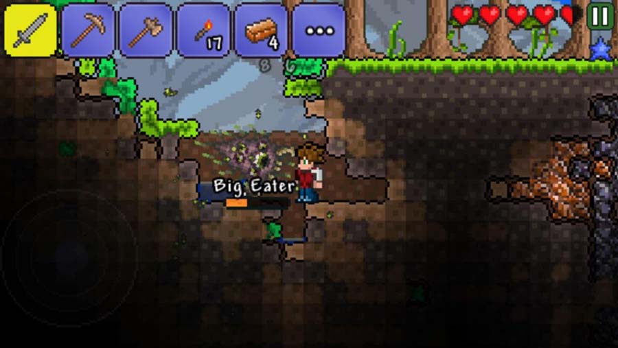 The Official Picture of Terraria.