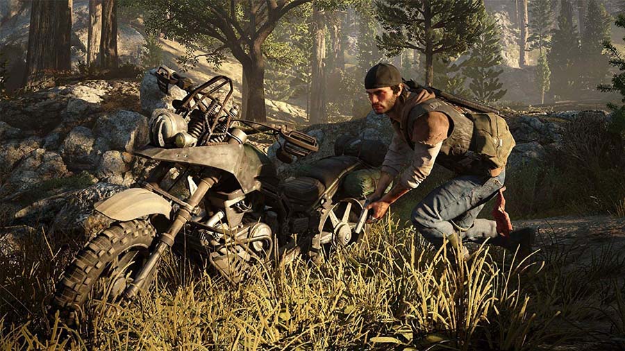 The Official Picture of Days Gone.