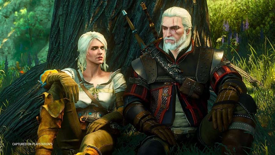 The Official Picture of The Witcher 3: Wild Hunt.