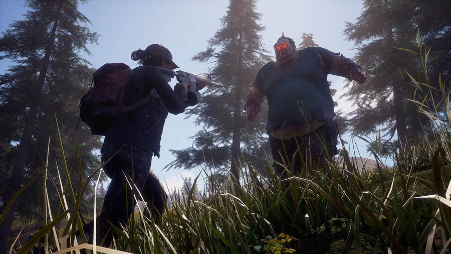 gameplay picture of State of Decay 2